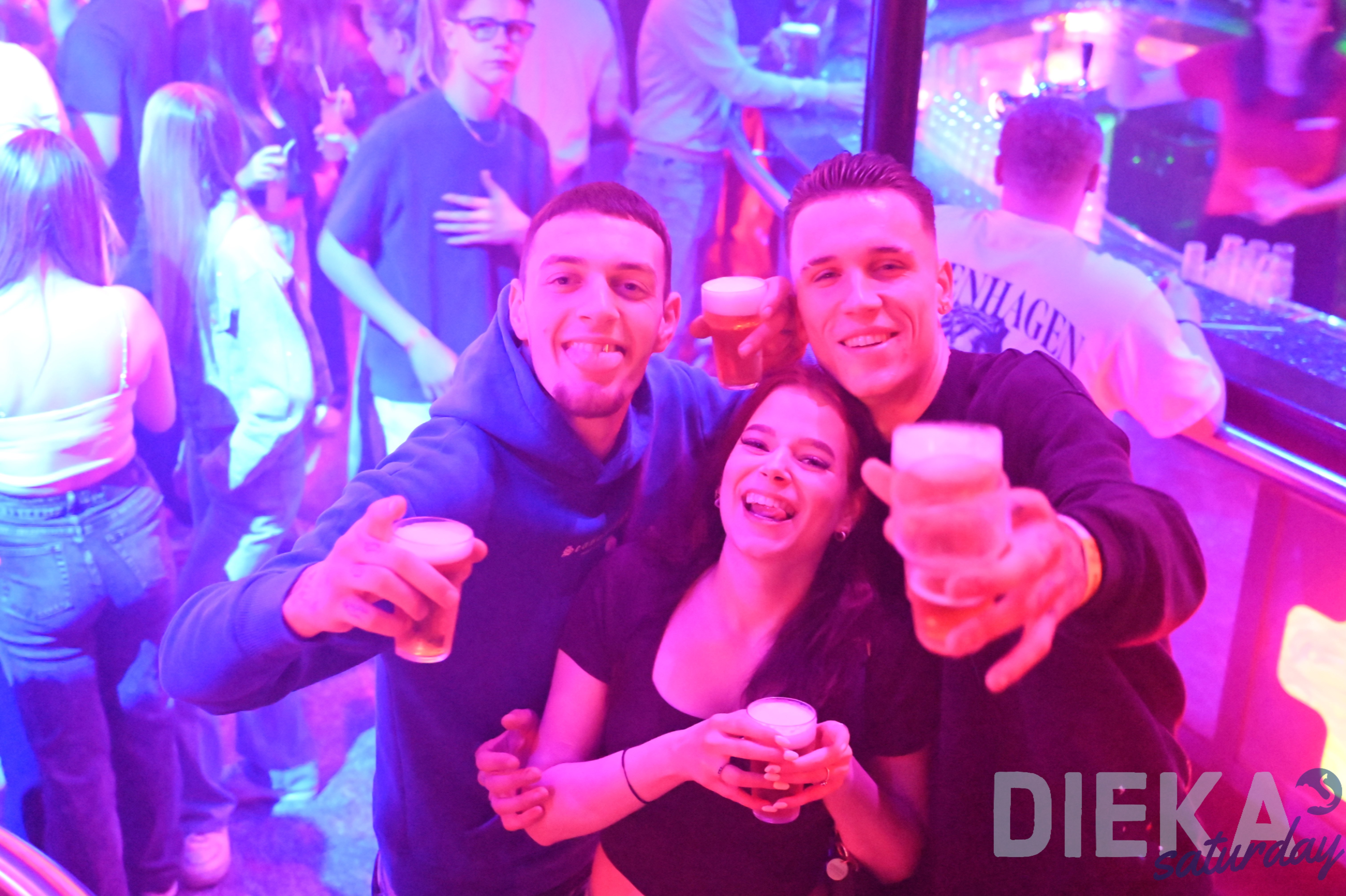 DSC 2012