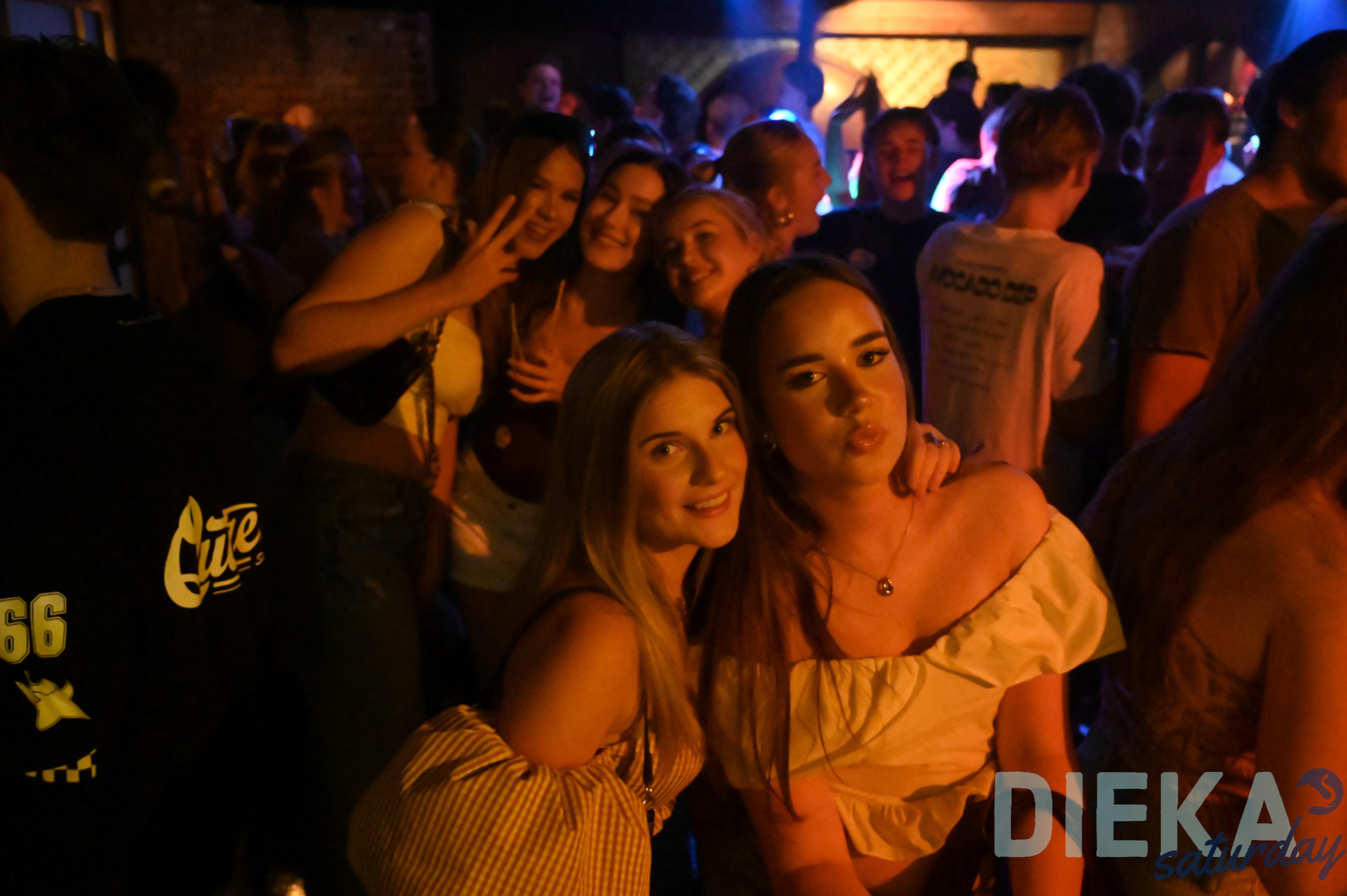 DSC 6602