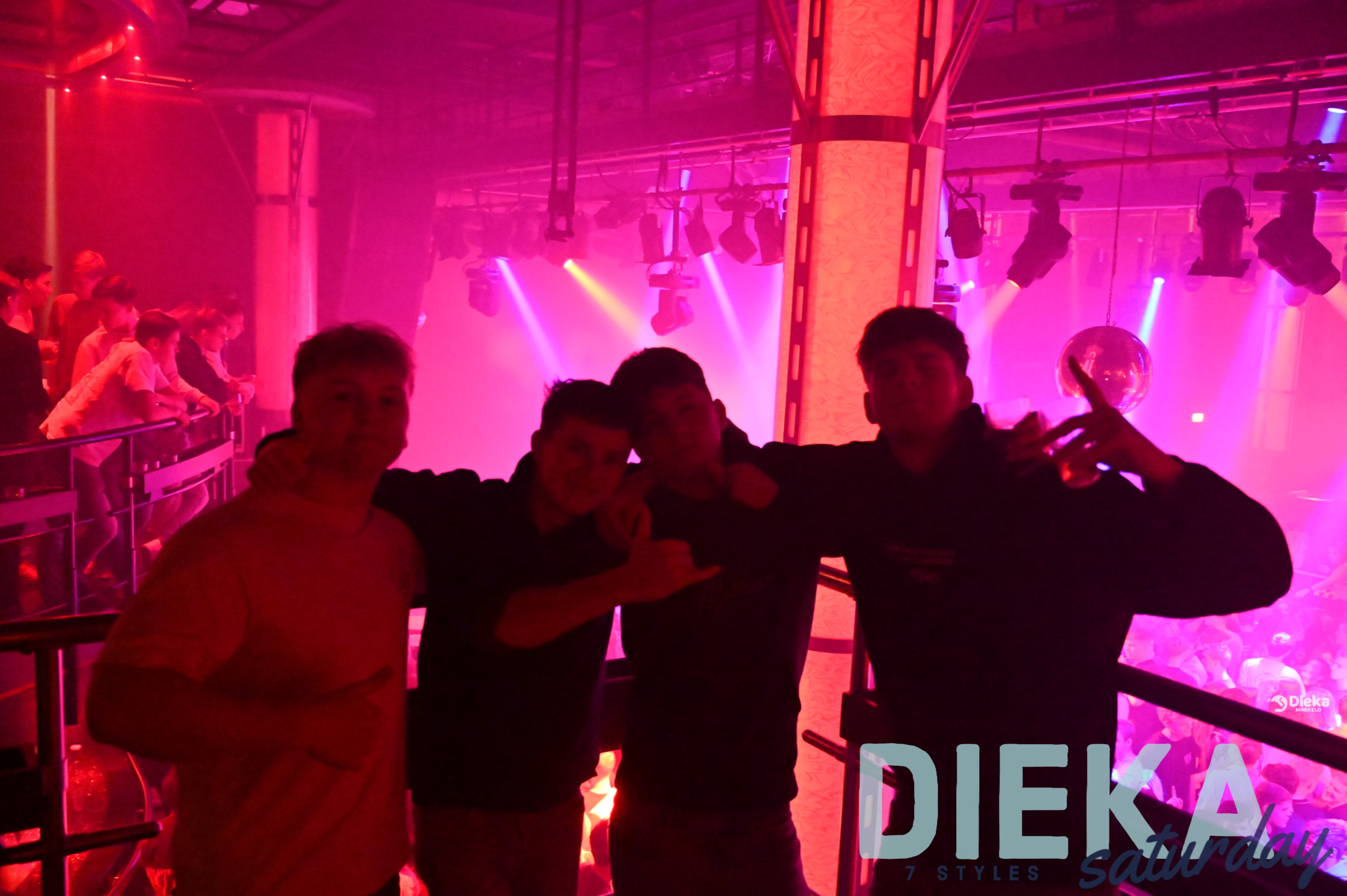 DSC 2013