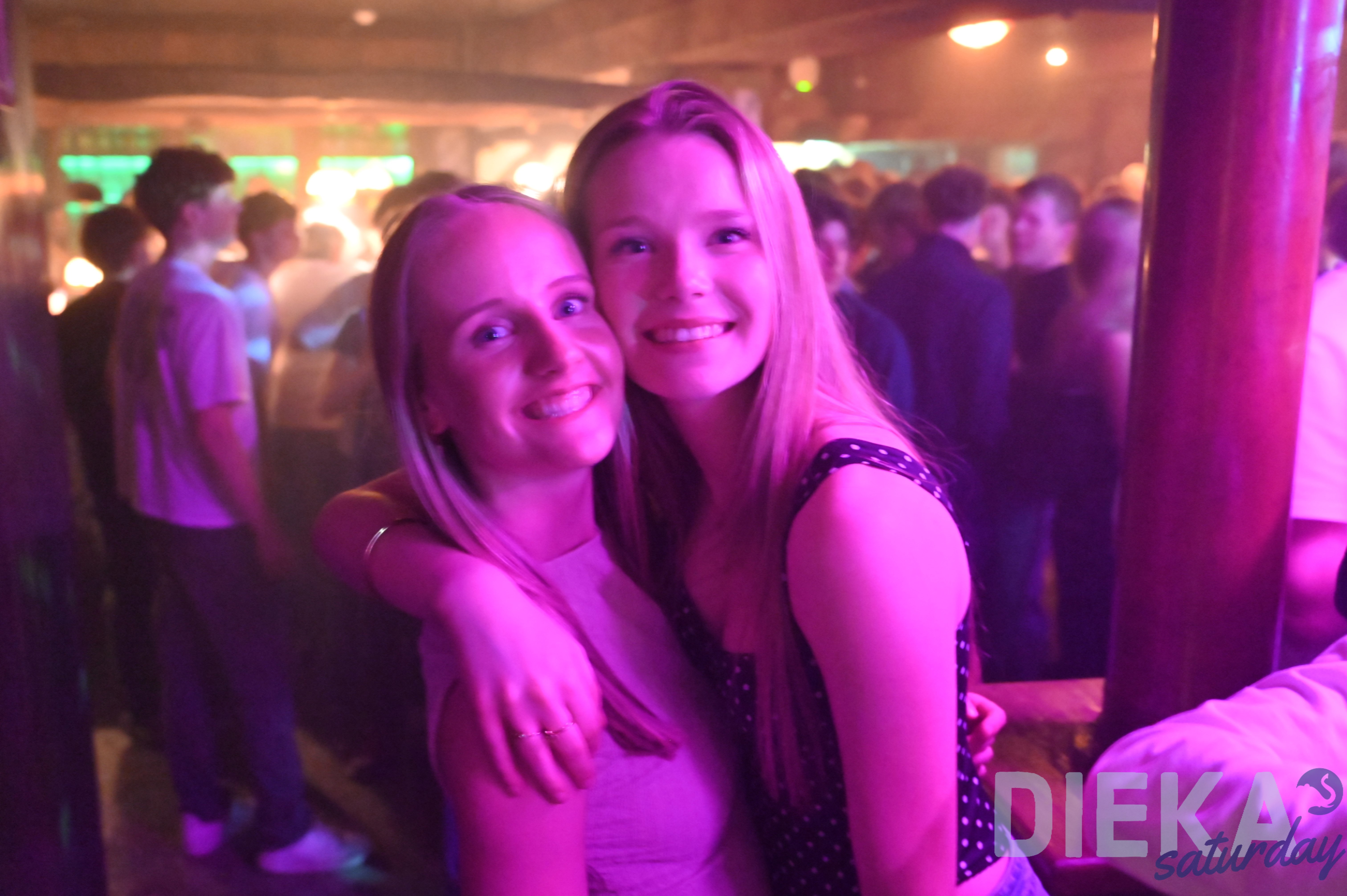 DSC 4537