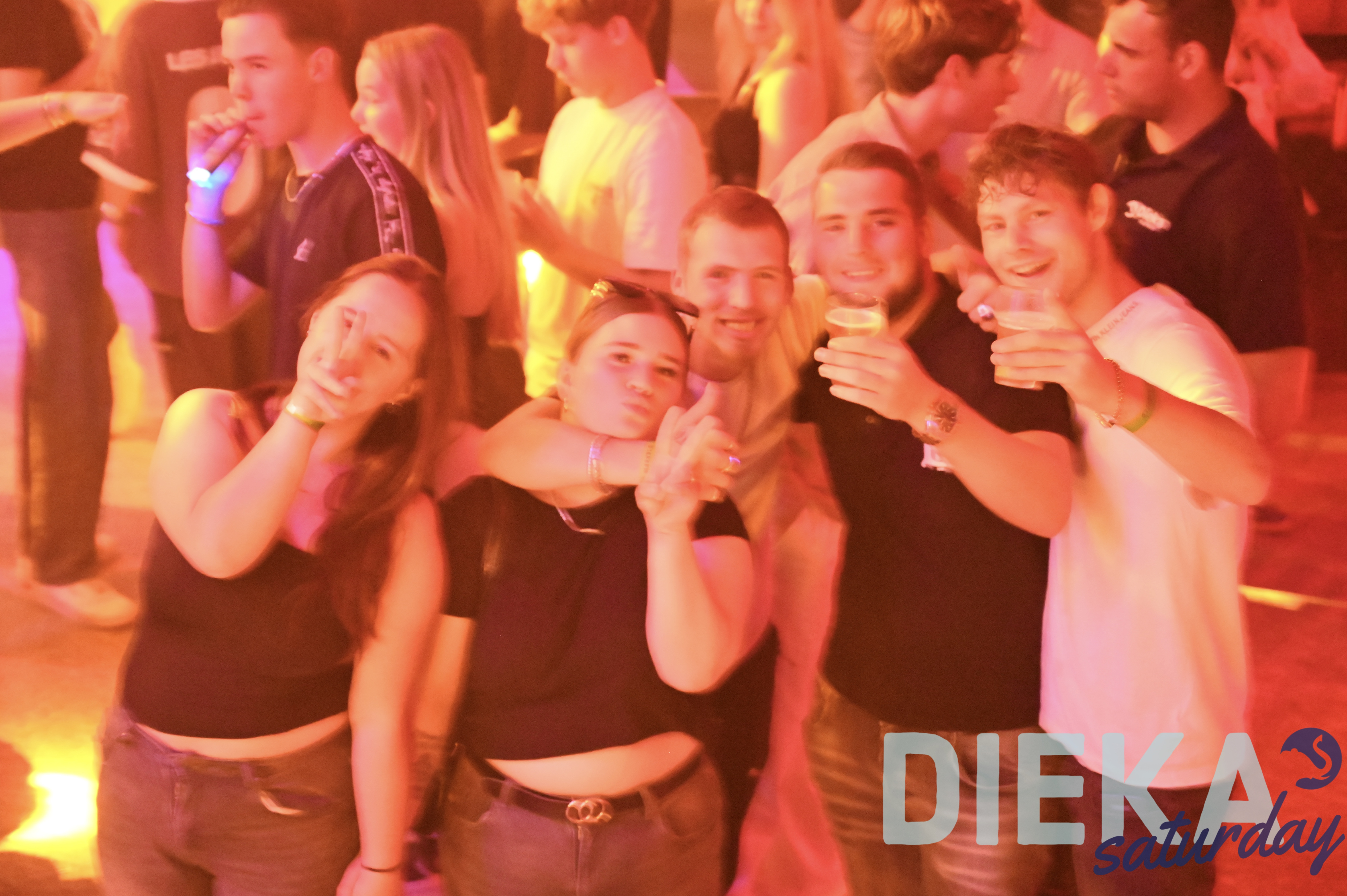 DSC 7331