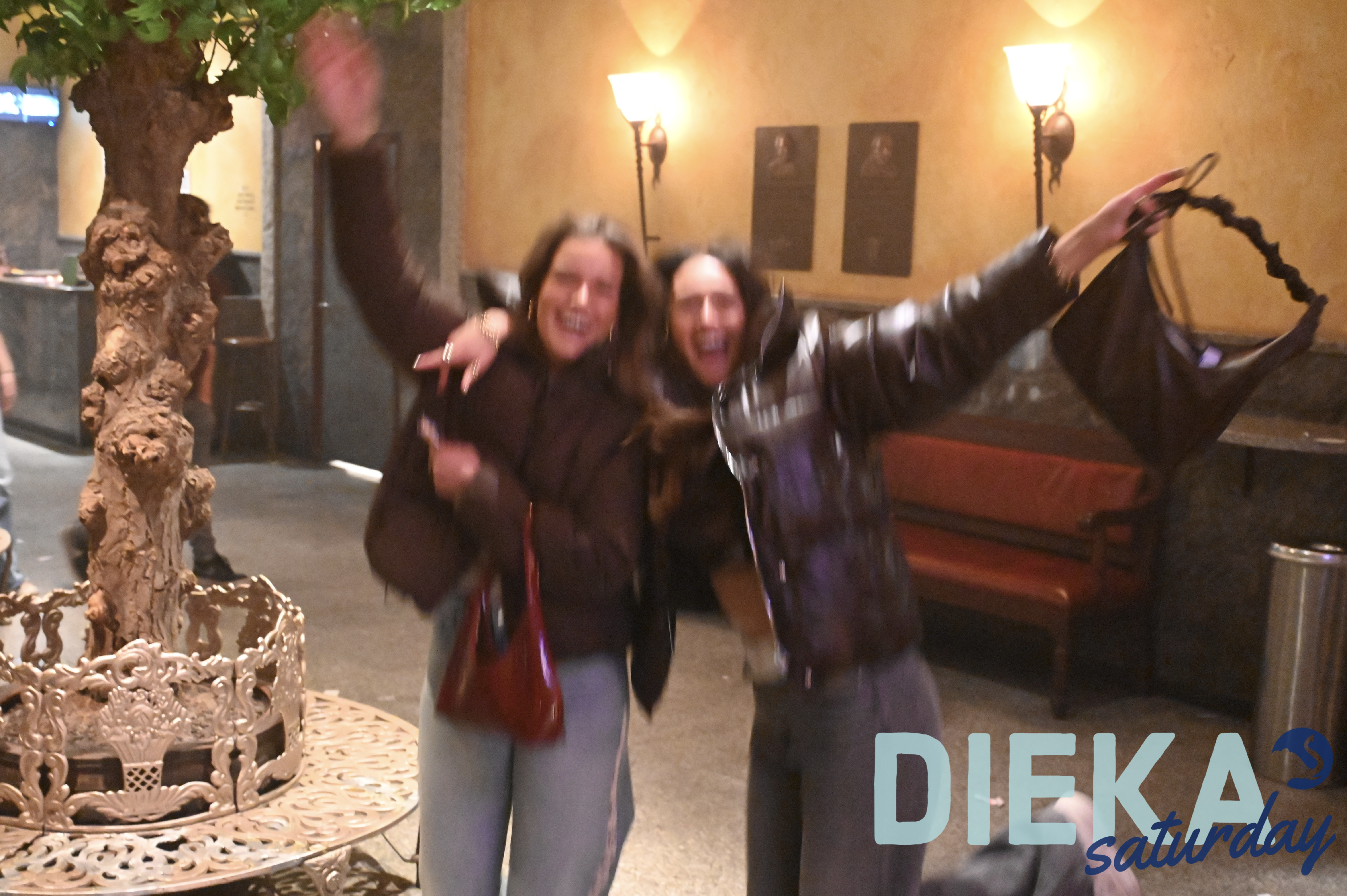 DSC 8663