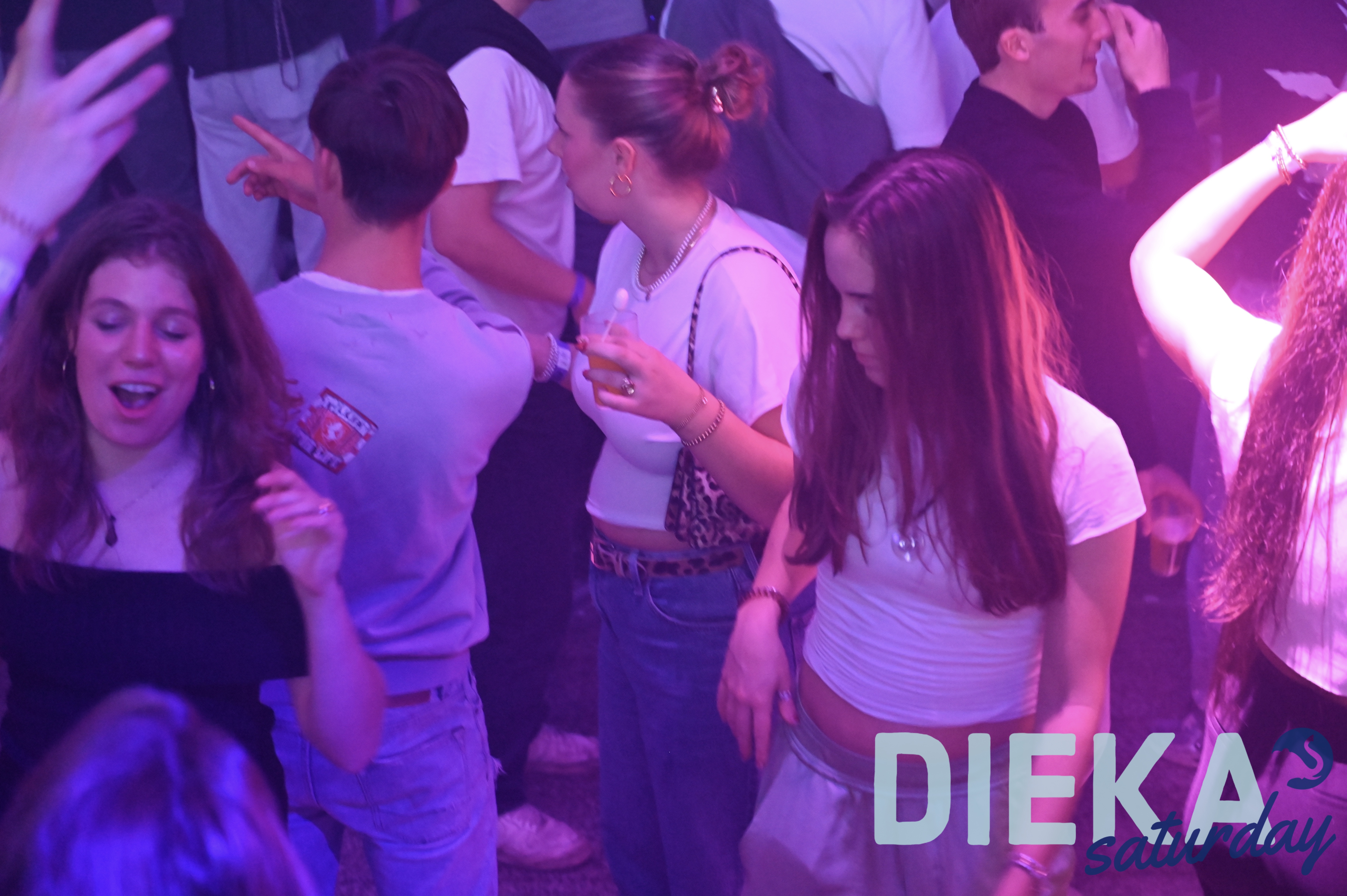 DSC 8831