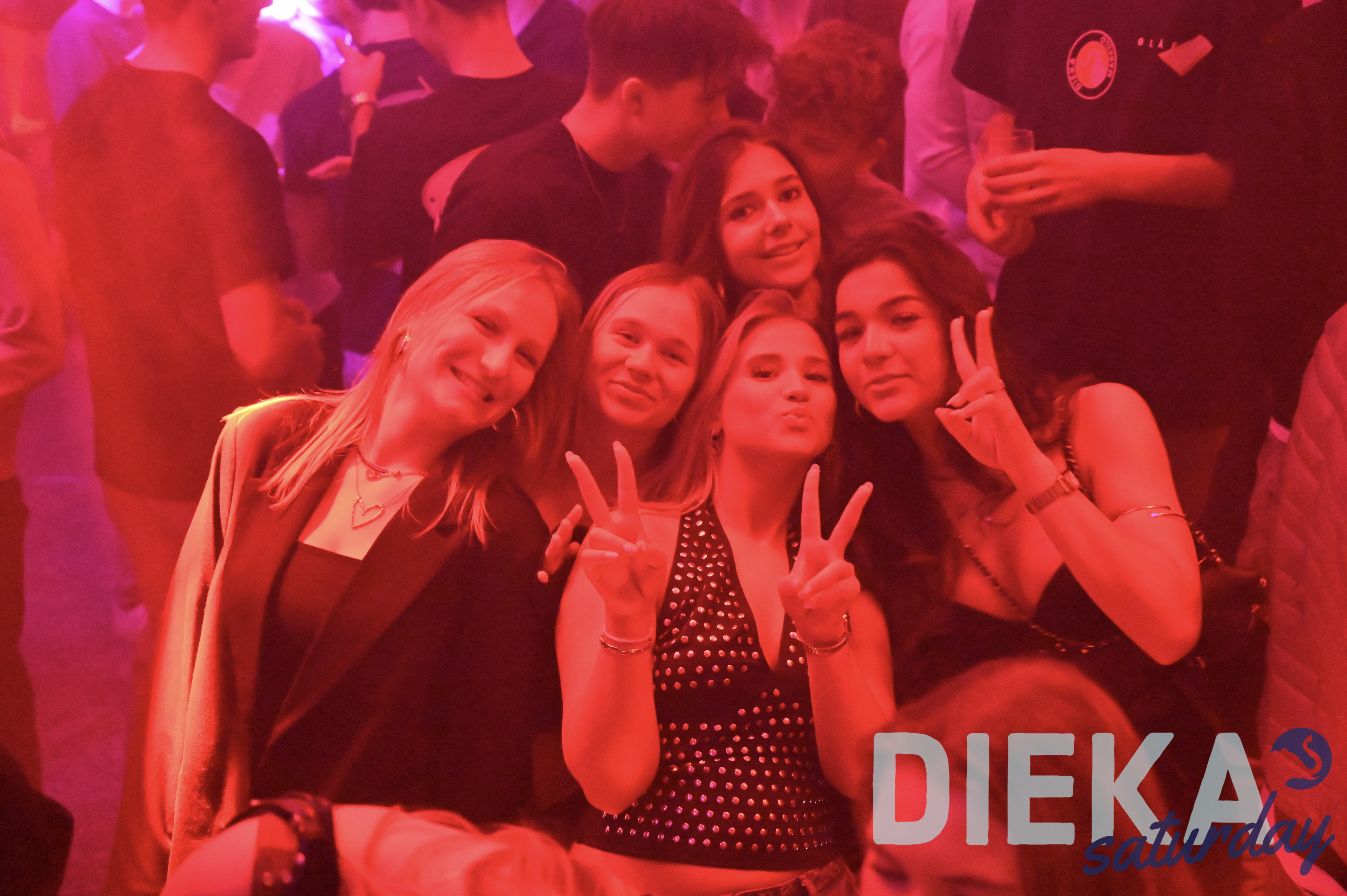DSC 4919