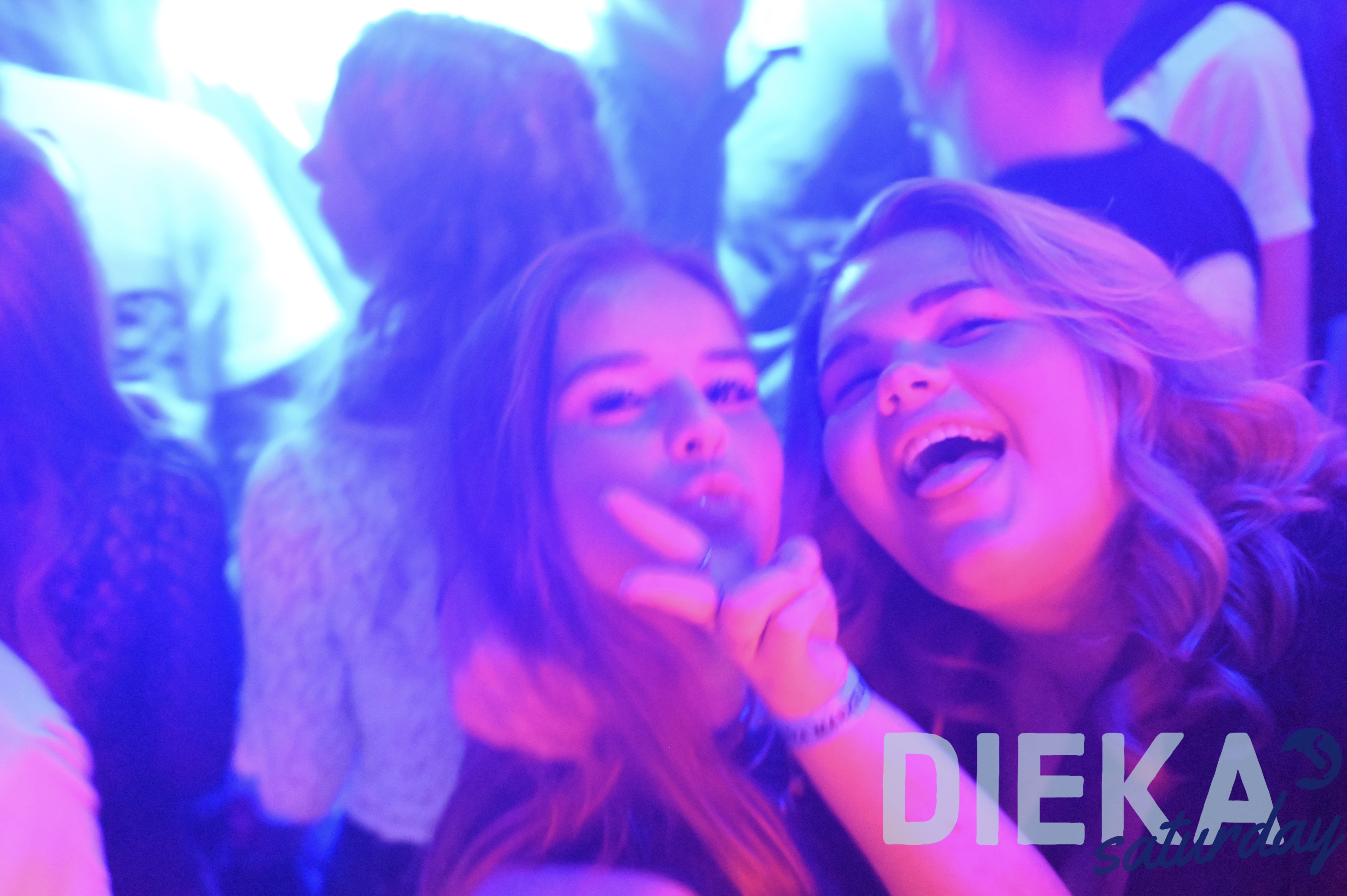 DSC 0833