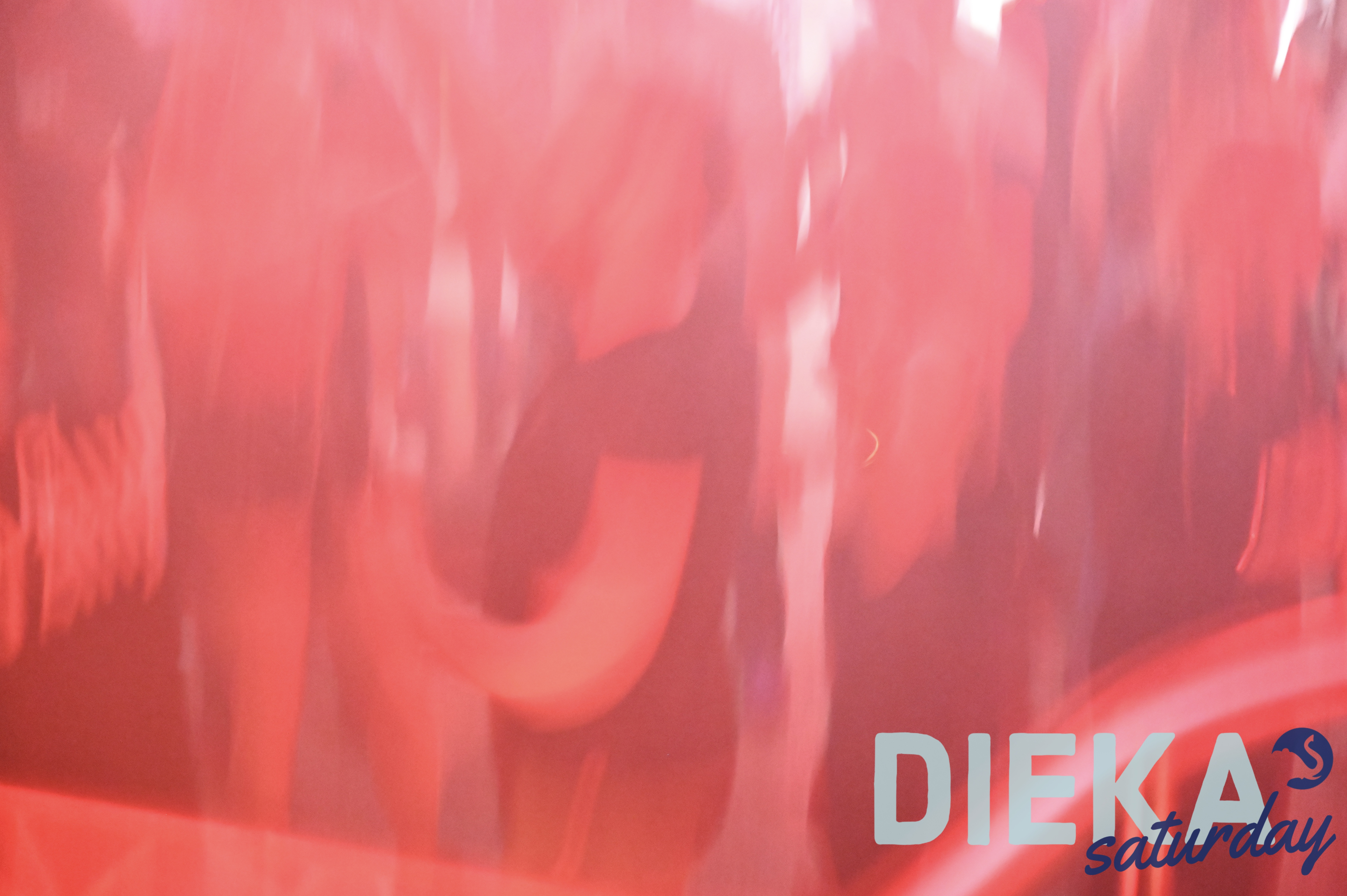 DSC 7641