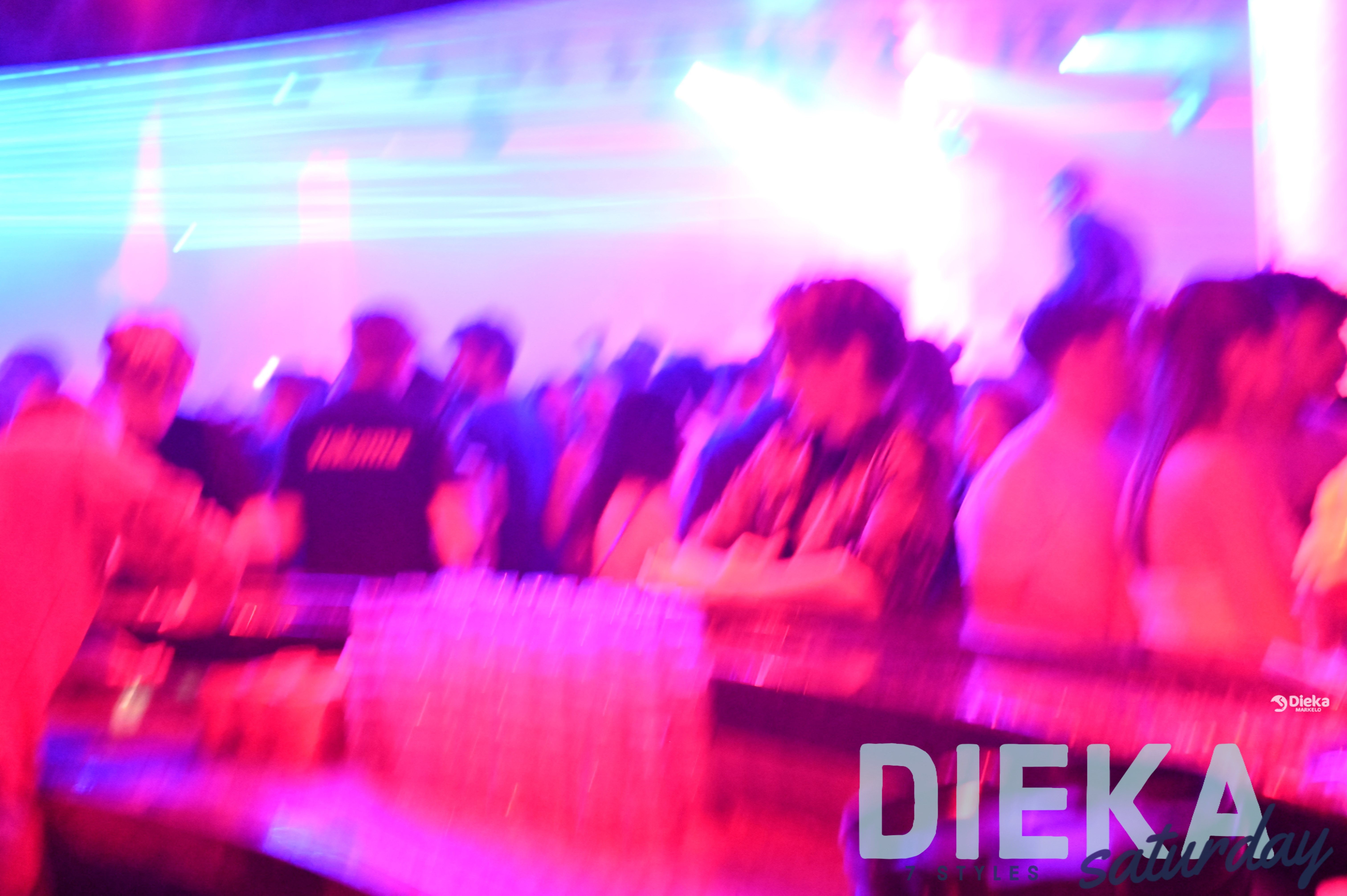 DSC 5137