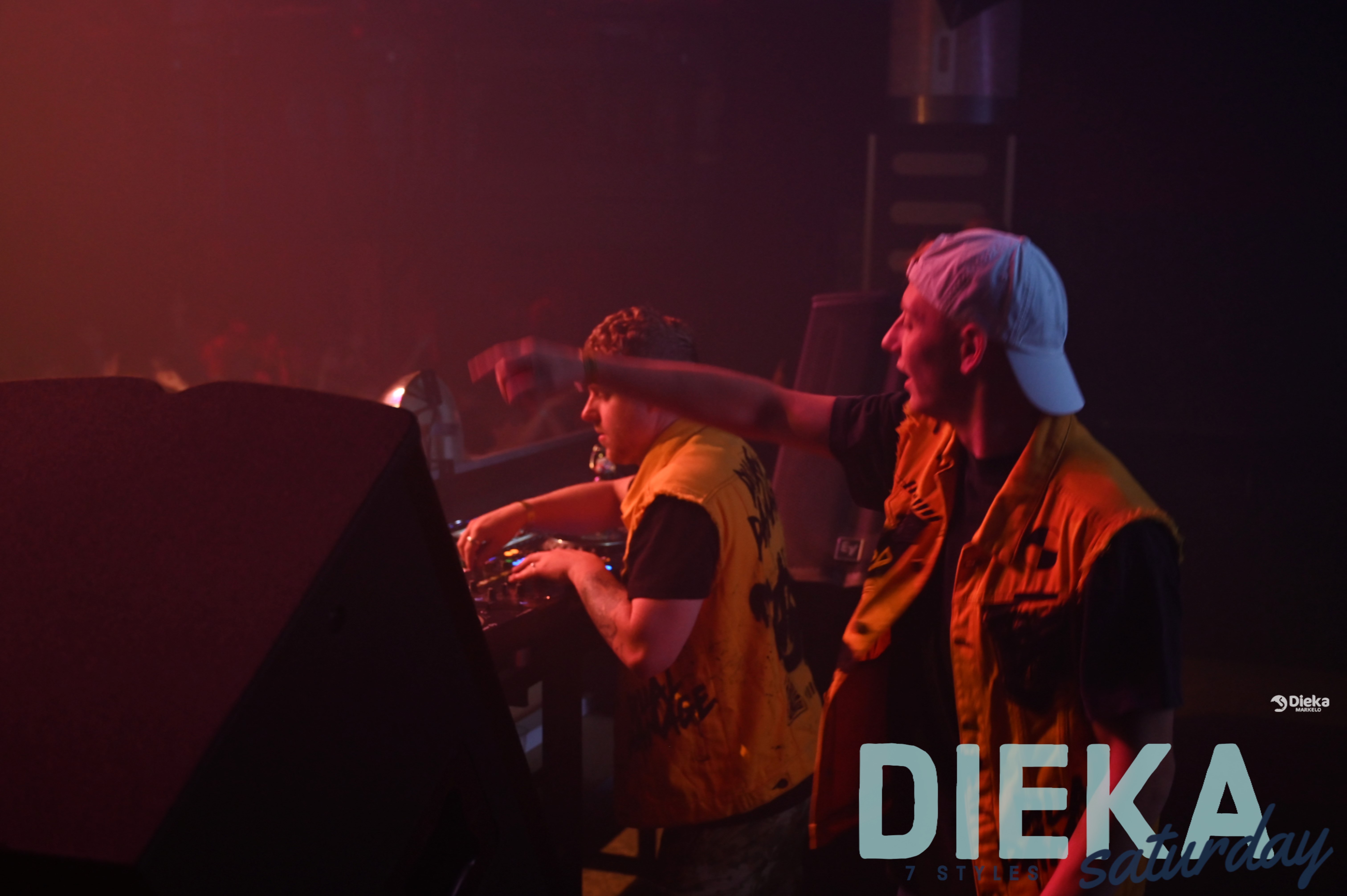 DSC 5384