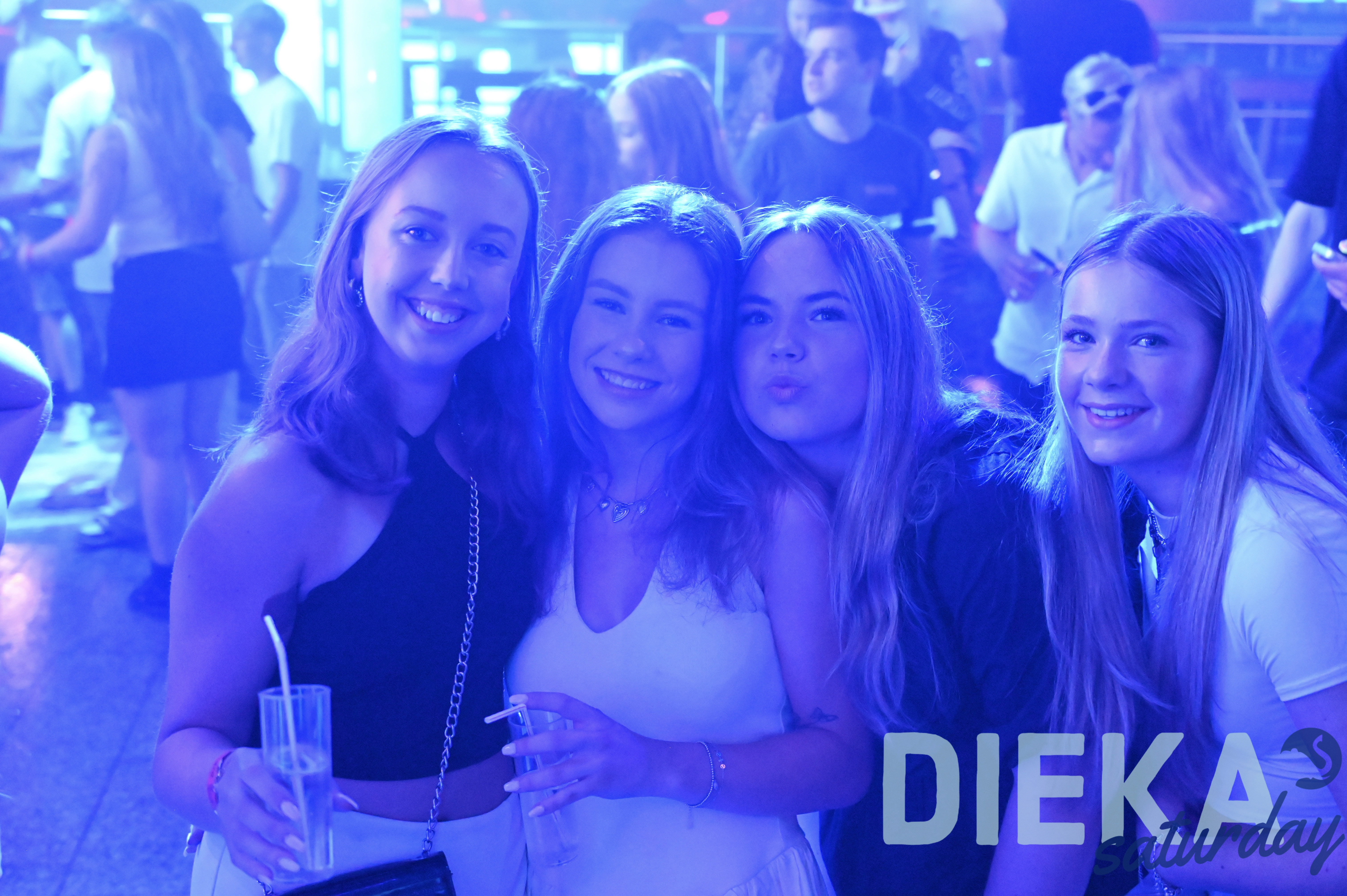 DSC 6711