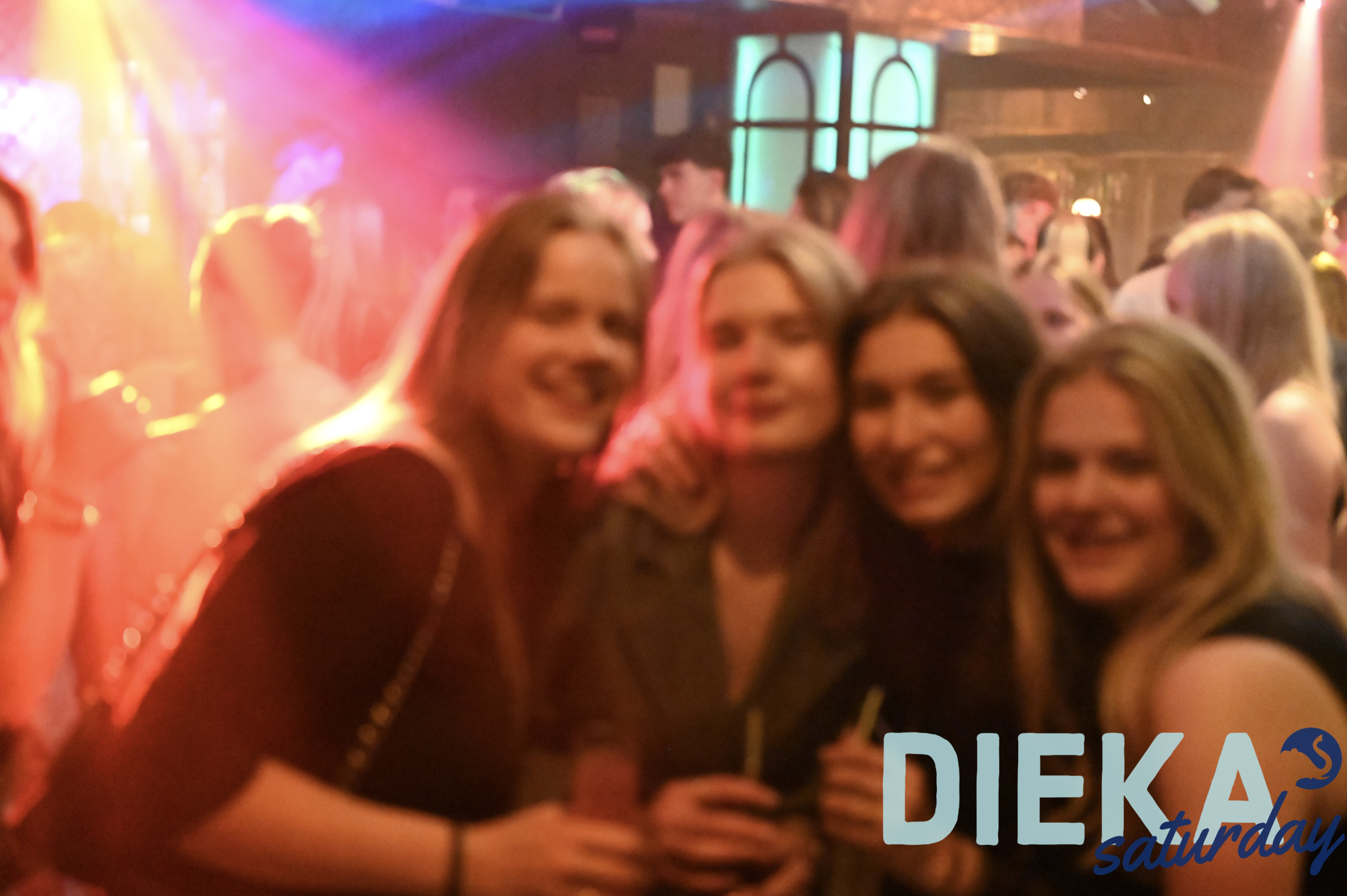 DSC 5534