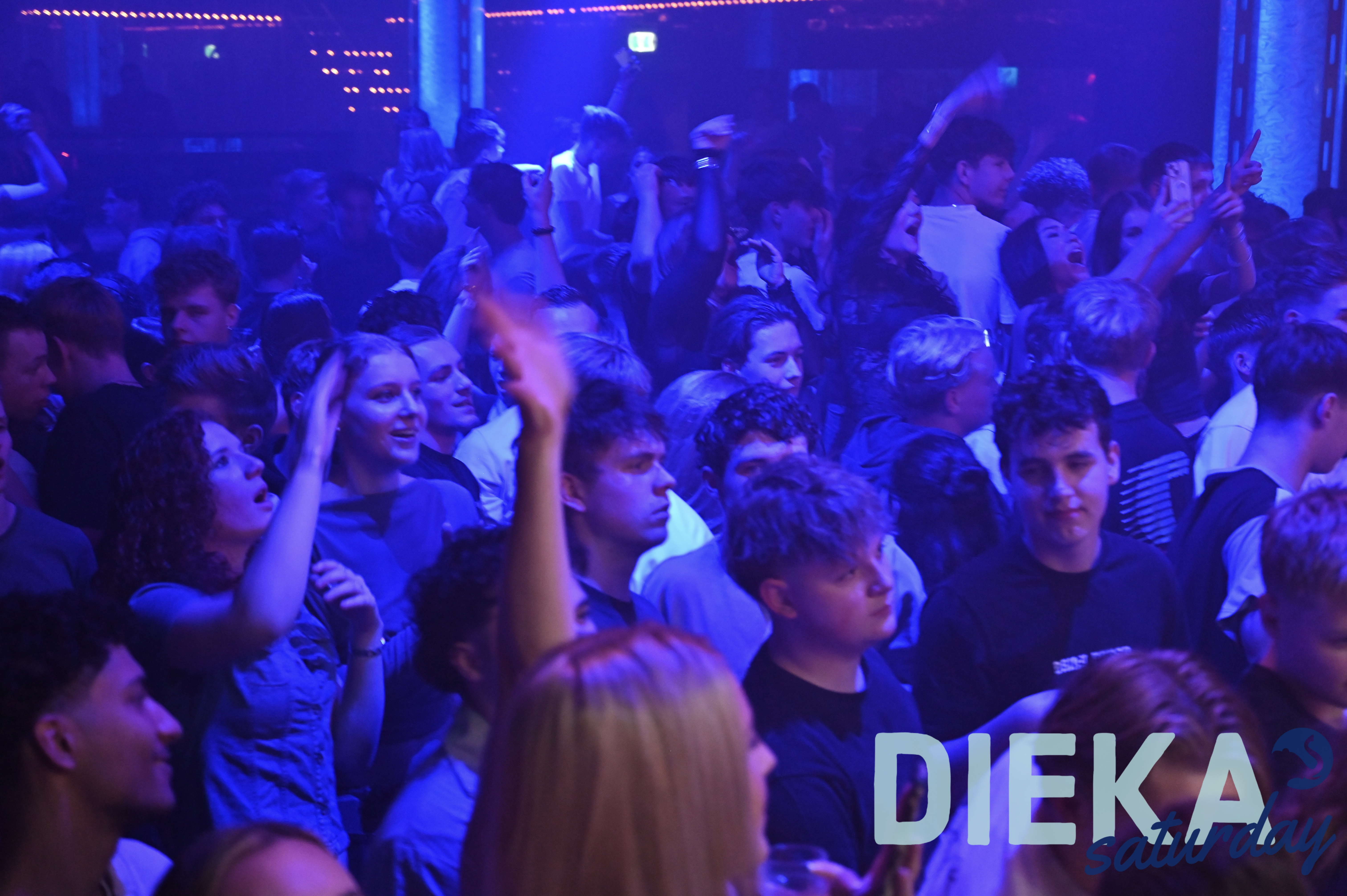 DSC 0019